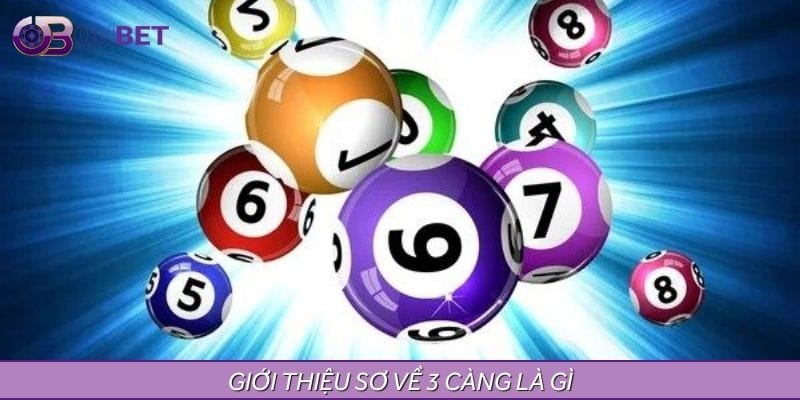 Sơ lược về 3 càng là gì Sơ lược về 3 càng là gì
