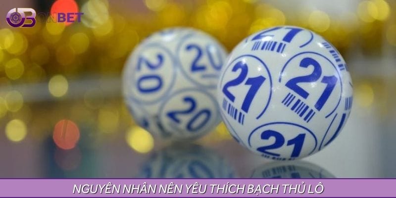 Nguyên nhân nên biết đến bạch thủ lô Nguyên nhân nên biết đến bạch thủ lô