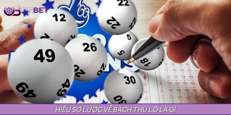 Sơ lược bạch thủ lô là gì Sơ lược bạch thủ lô là gì
