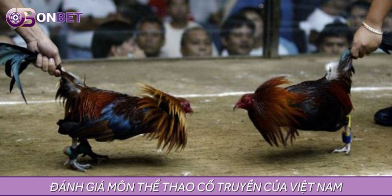 Đánh giá môn thể thao cổ truyền của Việt Nam Đánh giá môn thể thao cổ truyền của Việt Nam
