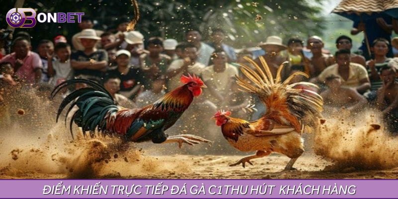 Ưu điểm khiến trực tiếp đá gà C1 hôm nay thu hút khách hàng Ưu điểm khiến trực tiếp đá gà C1 hôm nay thu hút khách hàng