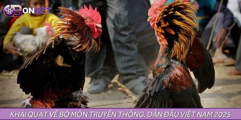 Khái quát về bộ môn truyền thống, dẫn đầu Việt Nam 2025 Khái quát về bộ môn truyền thống, dẫn đầu Việt Nam 2025