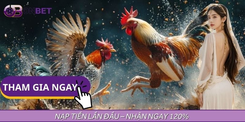 Tham gia đá gà với số vốn lớn hơn, tăng cơ hội thắng lớn ngay từ lần nạp đầu tiên Tham gia đá gà với số vốn lớn hơn, tăng cơ hội thắng lớn ngay từ lần nạp đầu tiên