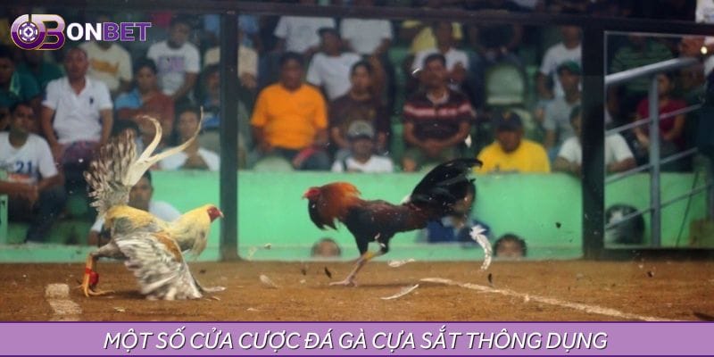 Một số cửa cược đá gà cựa sắt thông dụng Một số cửa cược đá gà cựa sắt thông dụng