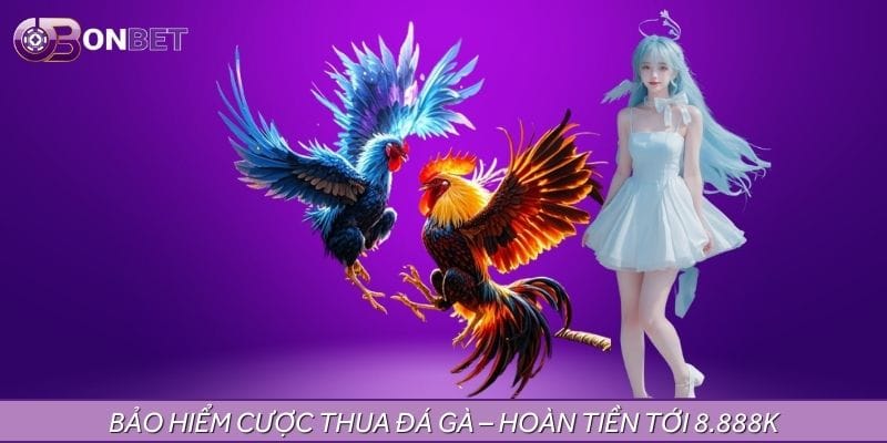 Nhận hoàn tiền đá gà mỗi ngày lên đến 8.888.000 VNĐ Nhận hoàn tiền đá gà mỗi ngày lên đến 8.888.000 VNĐ