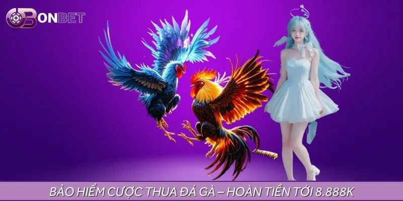 Nhận hoàn tiền đá gà mỗi ngày lên đến 8.888.000 VNĐ Nhận hoàn tiền đá gà mỗi ngày lên đến 8.888.000 VNĐ