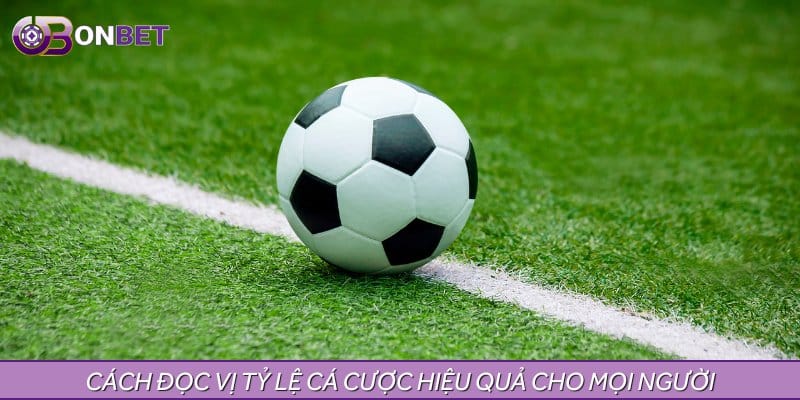 Cách đọc vị tỷ lệ cá cược hiệu quả cho mọi người