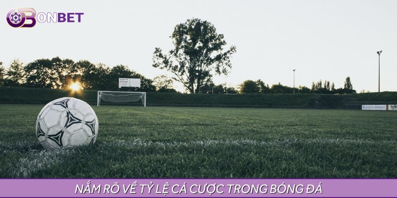 Nắm rõ về tỷ lệ cá cược trong bóng đá